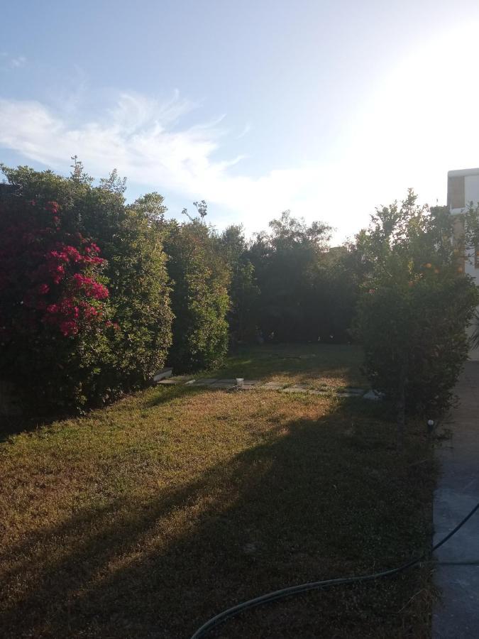 Atheneon Rhodes Apartment Theologos  Exterior photo